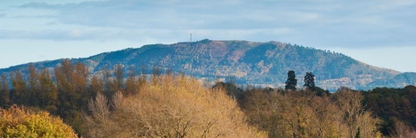 Graham Powell banner