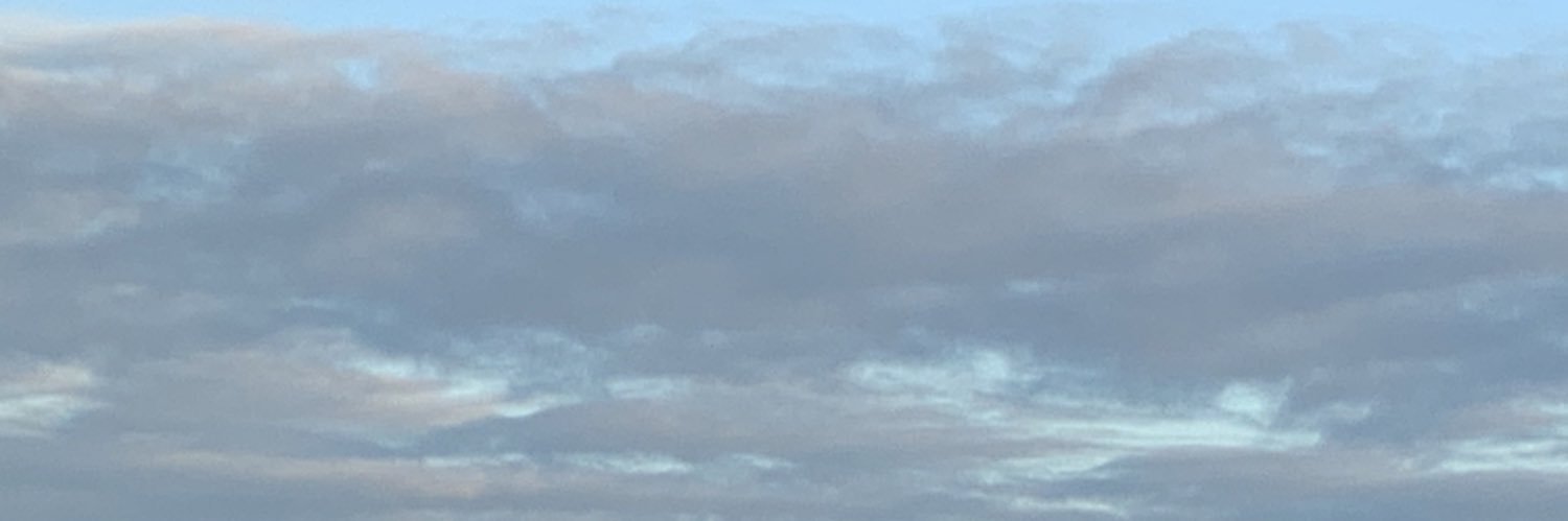 marissavrba's profile banner image