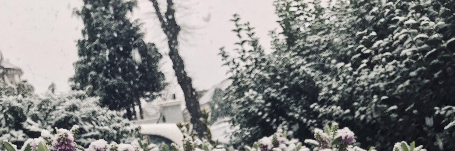 sarah_e_evans's profile banner image