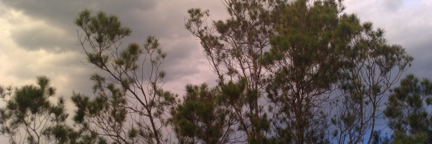 EducatorBron's profile banner image