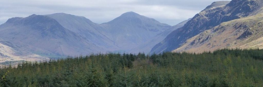 DavidmAllison1's profile banner image