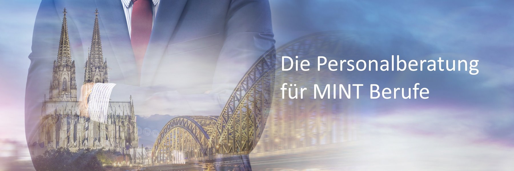 MINT Solutions GmbH banner