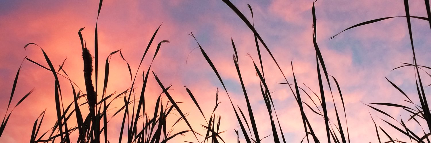 basicbrunettee_'s profile banner image