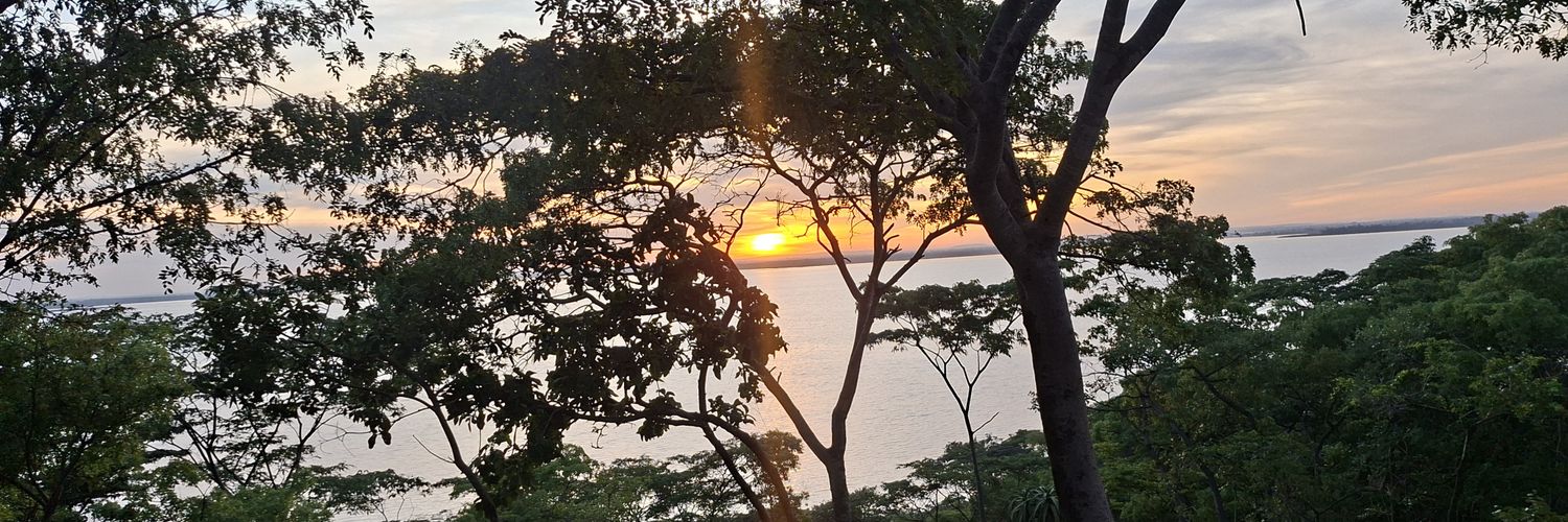 Lilian Chipo Chivasa 🇿🇼 🇿🇦 🇿🇲 🇦🇪 banner