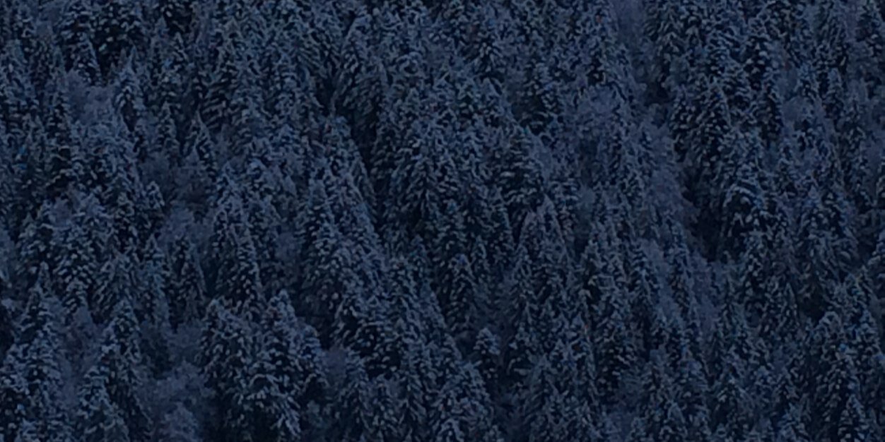 stuart_c_gibson's profile banner image