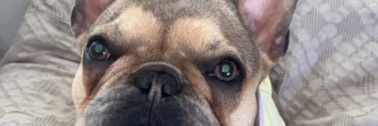 Julissa_1413's profile banner image