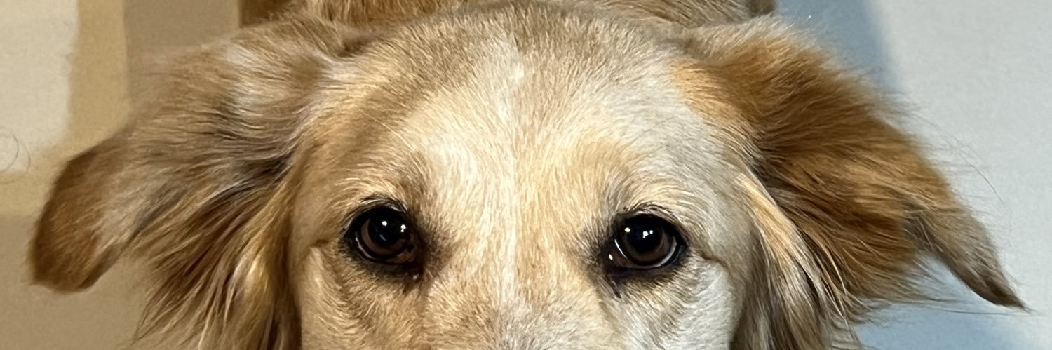 ivansimental07's profile banner image