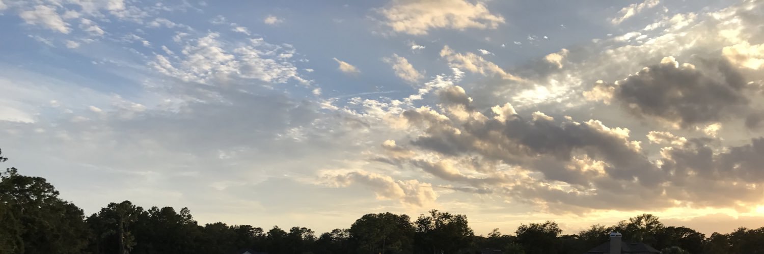 pvraquel's profile banner image