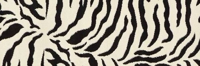 milliemollar's profile banner image