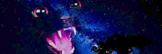 kevinbaconsson's profile banner image