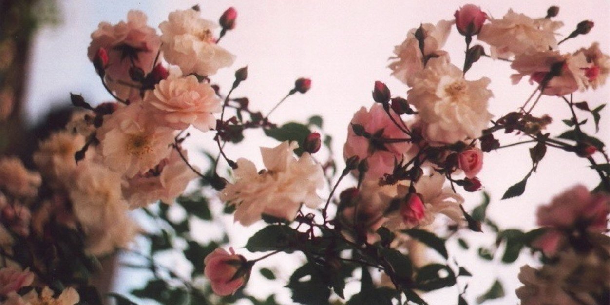 krayrey's profile banner image