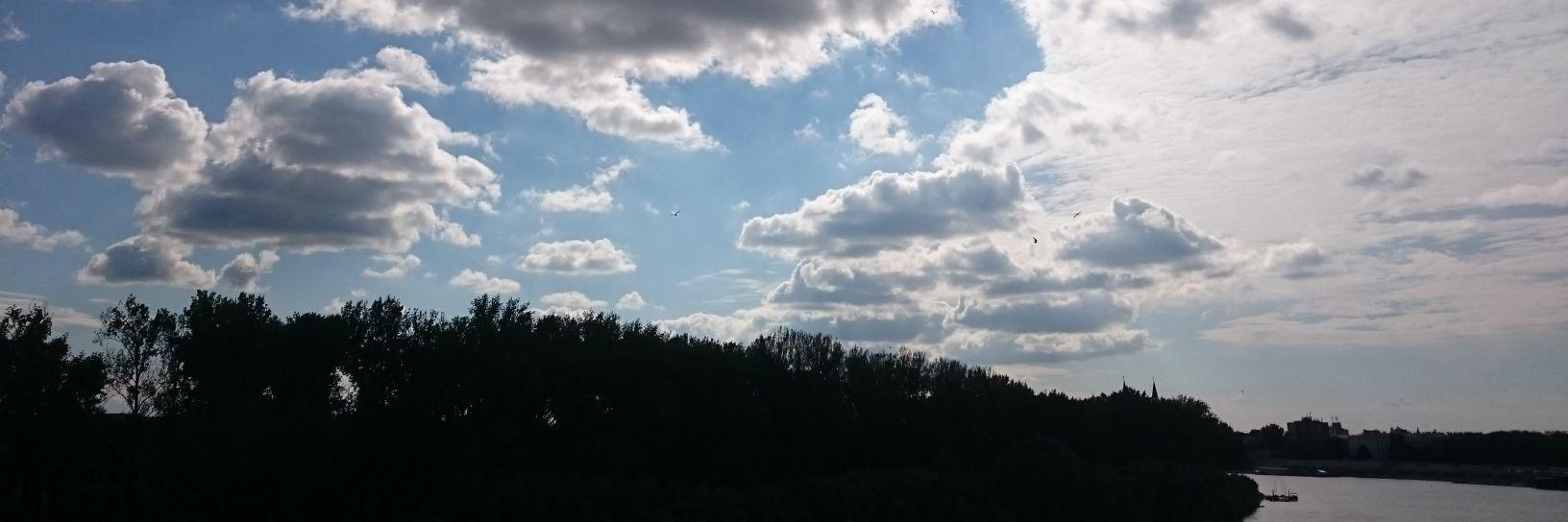 Balintboss 🌱 banner