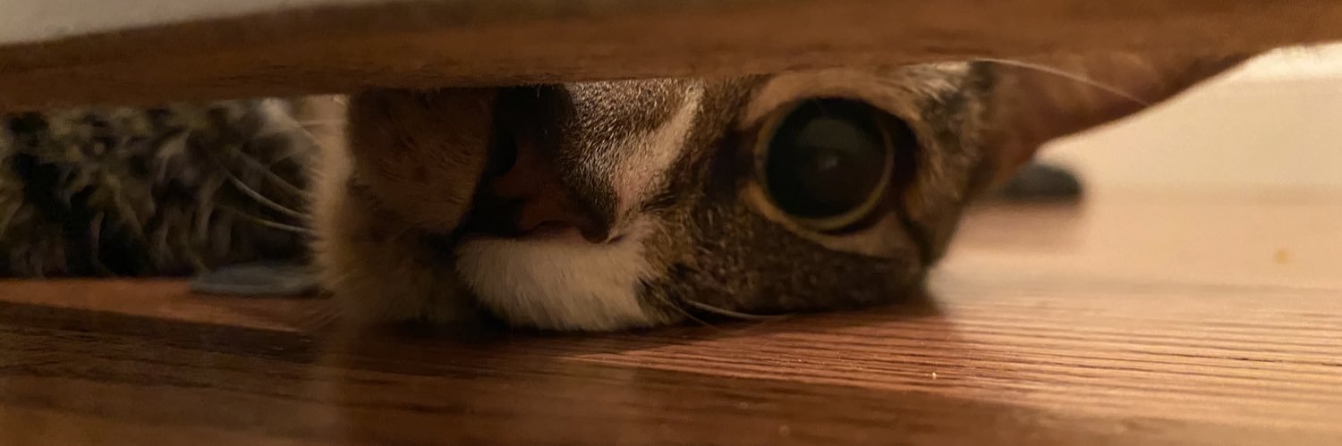 Brian David-Marshall banner