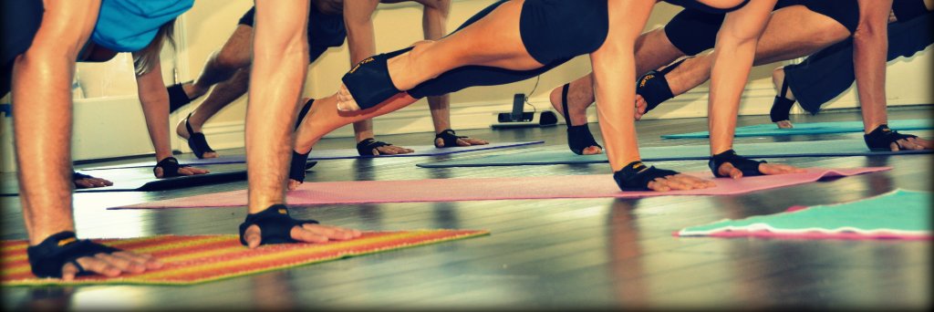 YogaPaws's profile banner image