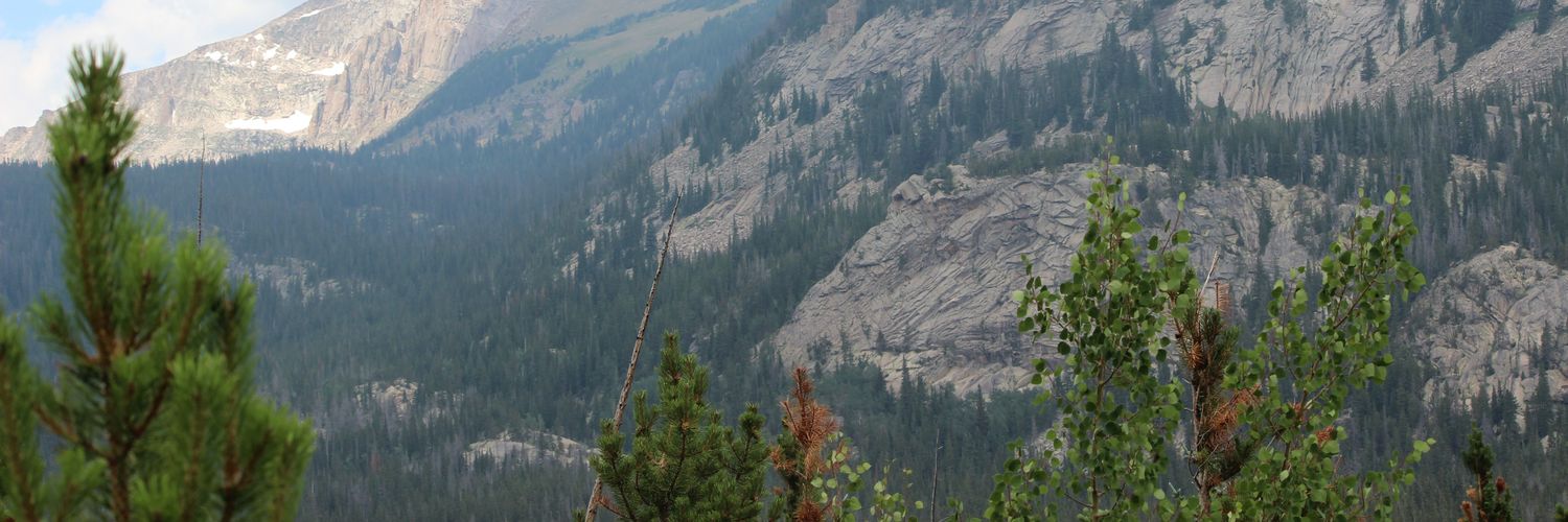 DrewTraver's profile banner image