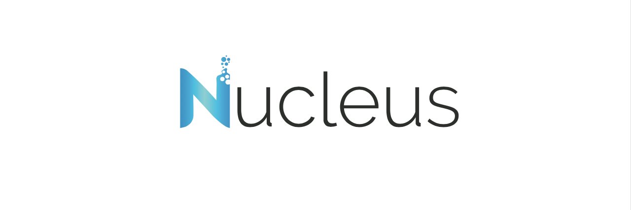 Nucleus Consultants banner