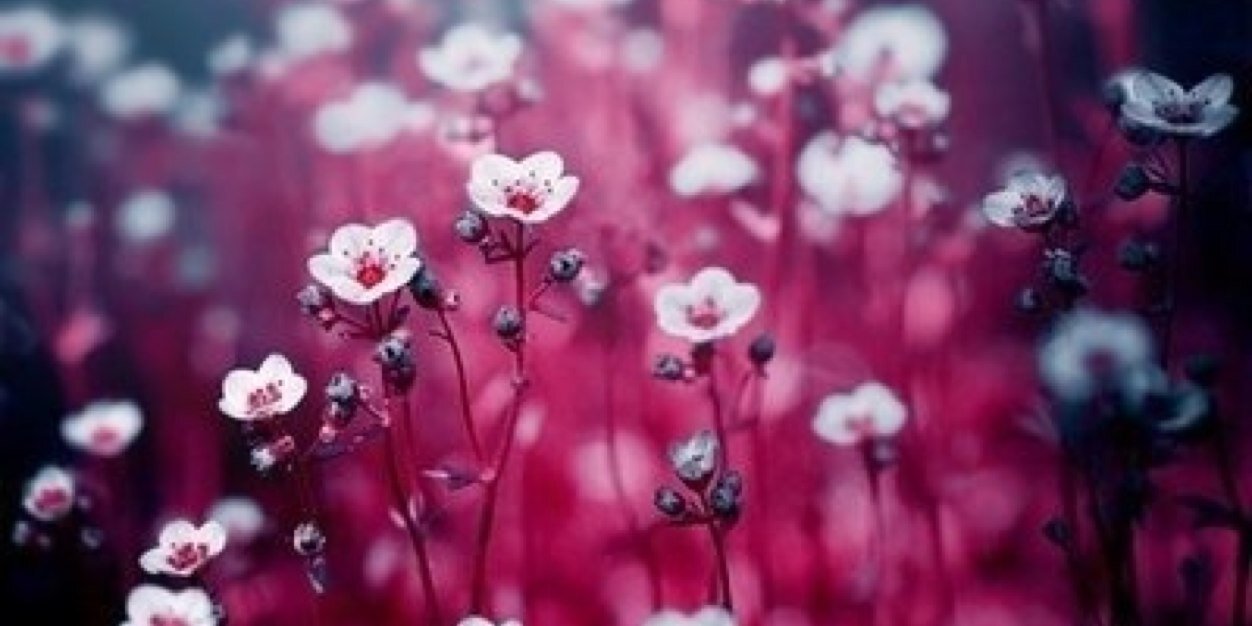 Dories_s's profile banner image