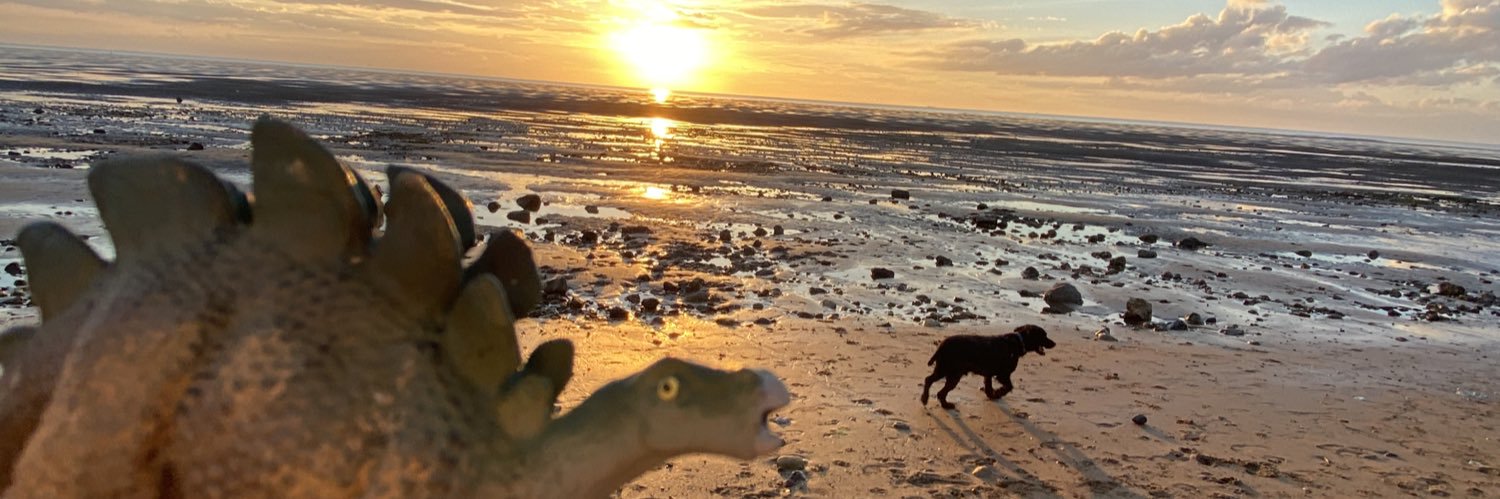 SnappySaurus's profile banner image