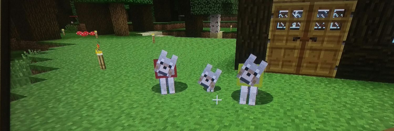 nnng_mt's profile banner image
