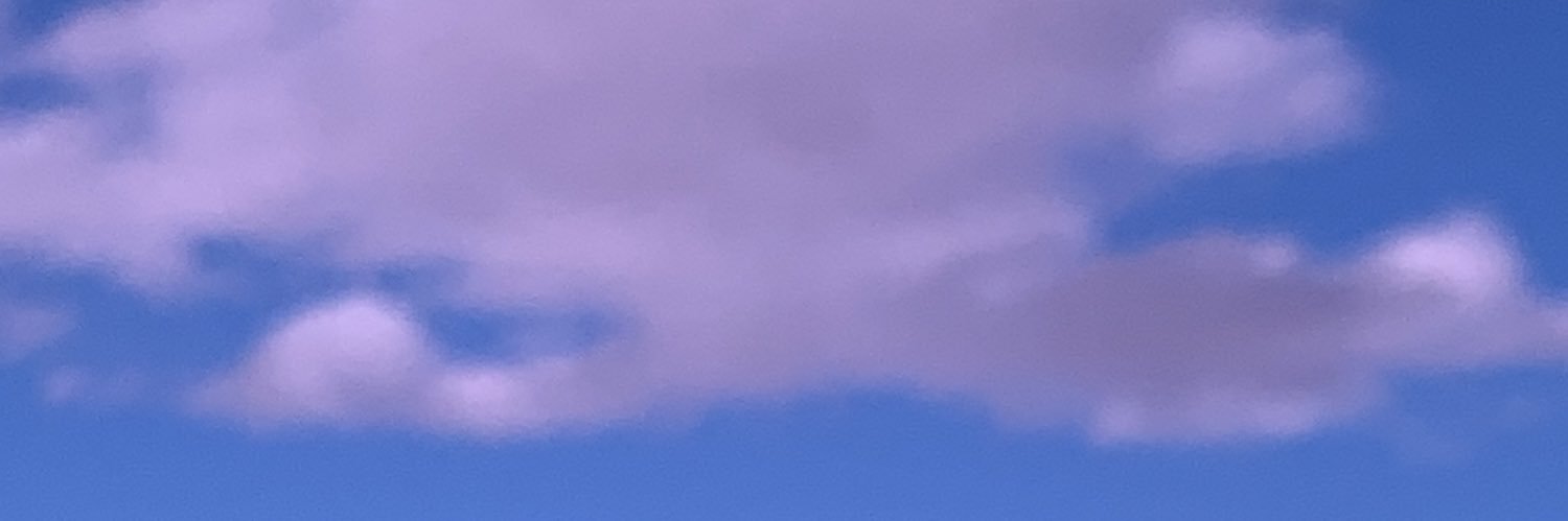 nnnylav's profile banner image