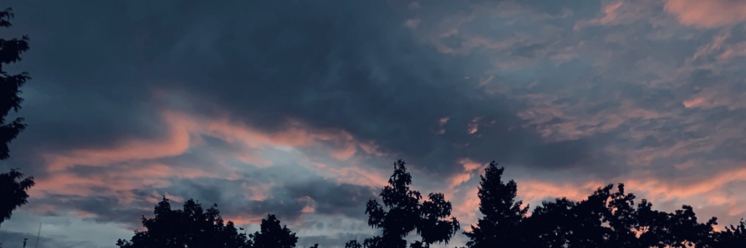 Sarah Werner 💫🌪🌙 banner