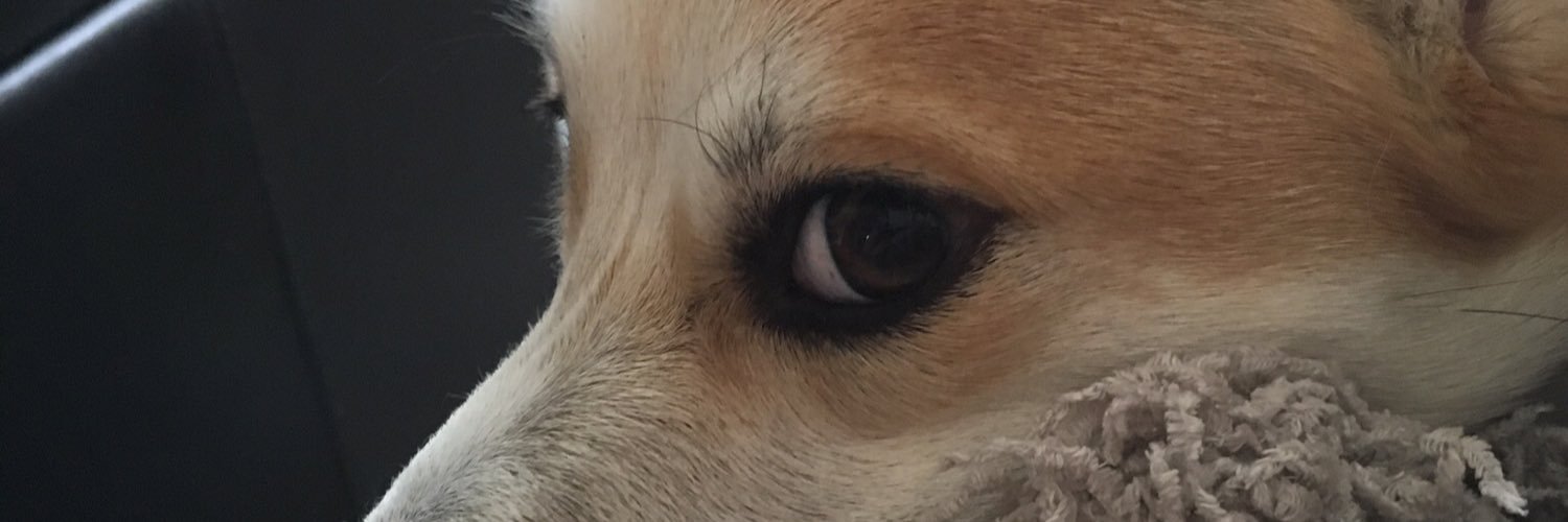 bethlaw1's profile banner image