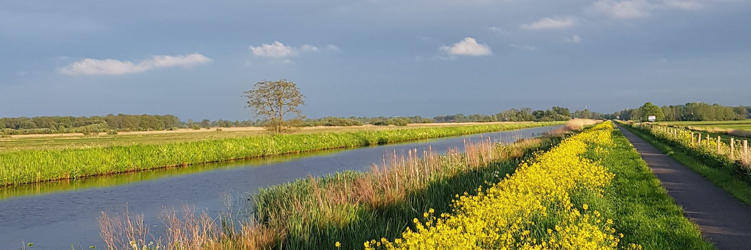 CDAOpsterland's profile banner image