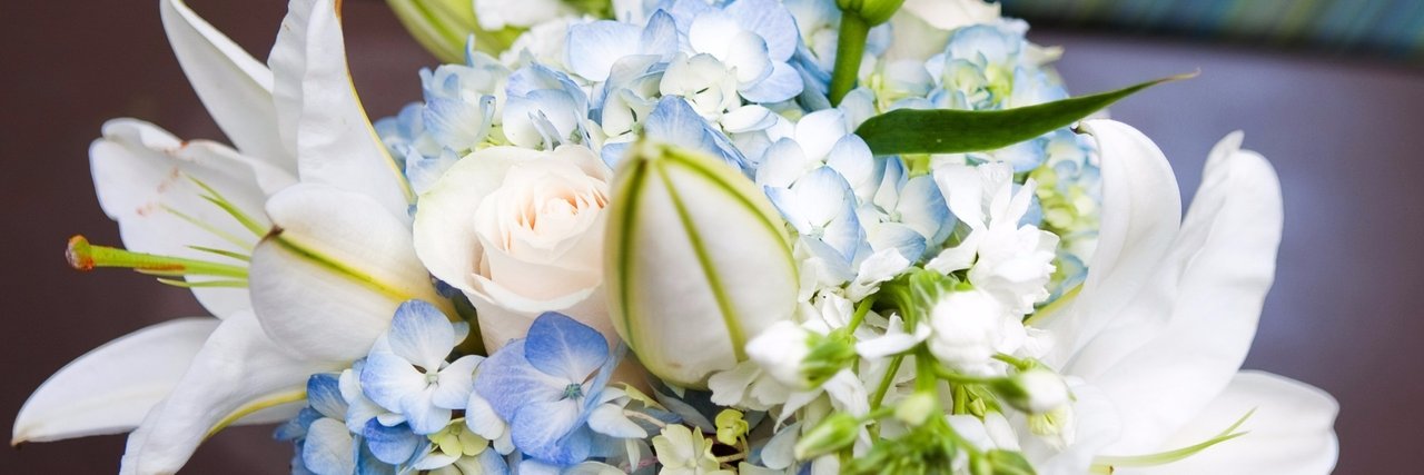 daisypeony's profile banner image