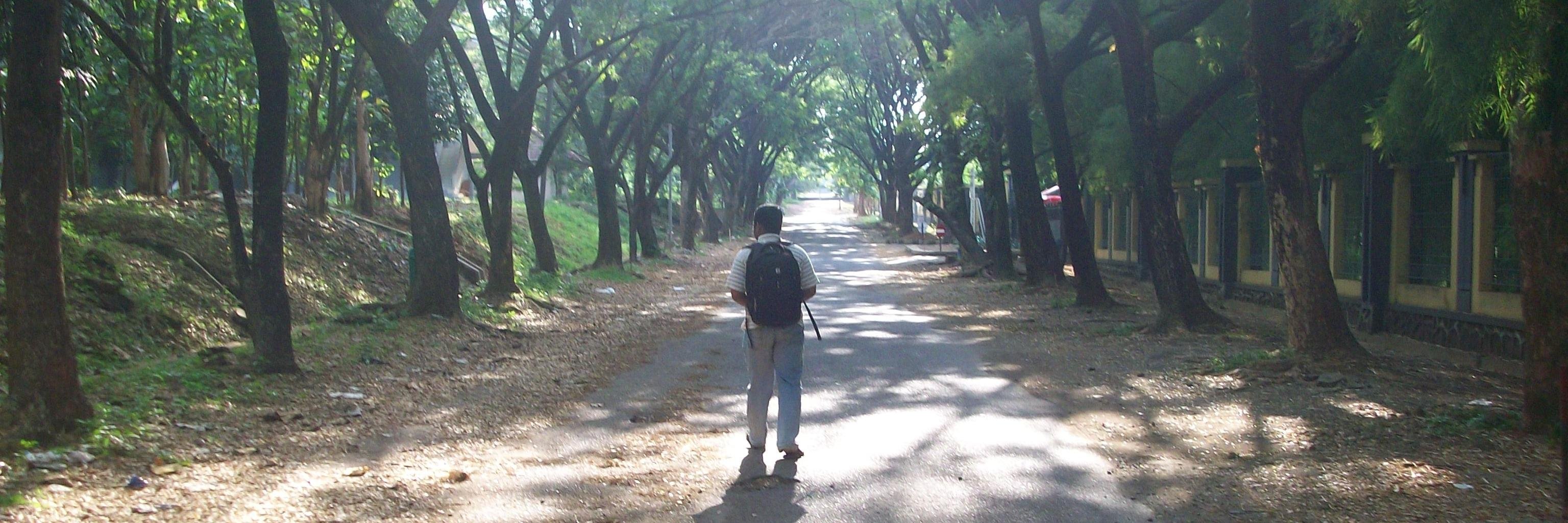 valentinomarcel's profile banner image