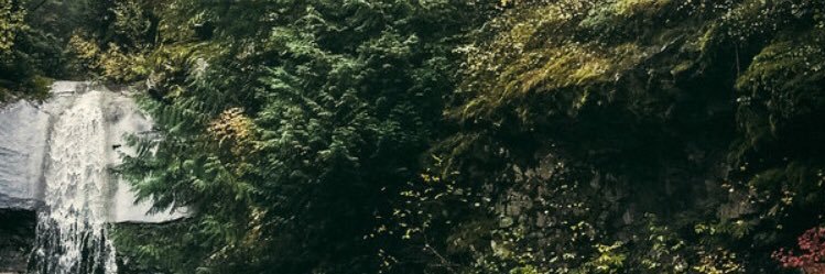 TyStephensPhoto's profile banner image