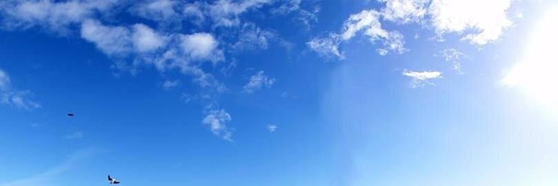 ella_mere's profile banner image