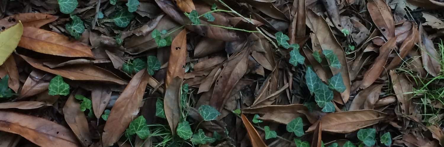 adrenalmedulla's profile banner image