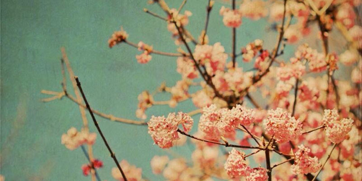 AnnaFERRERE's profile banner image
