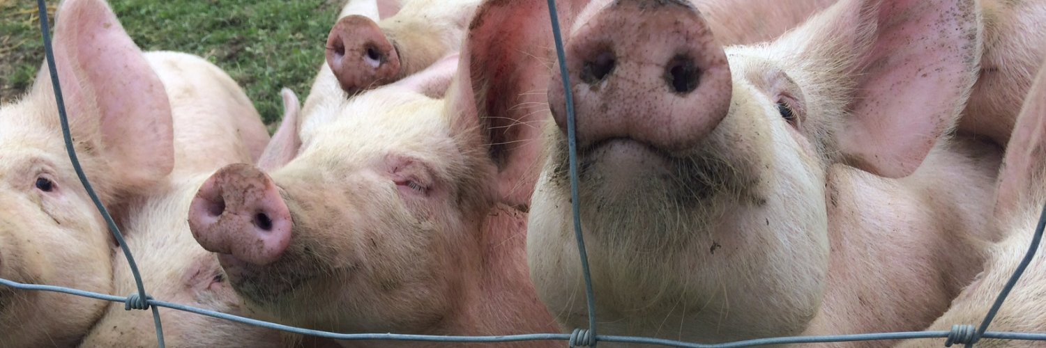 SharnfoldFarm's profile banner image