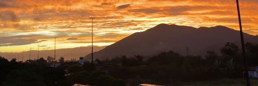 whsste's profile banner image