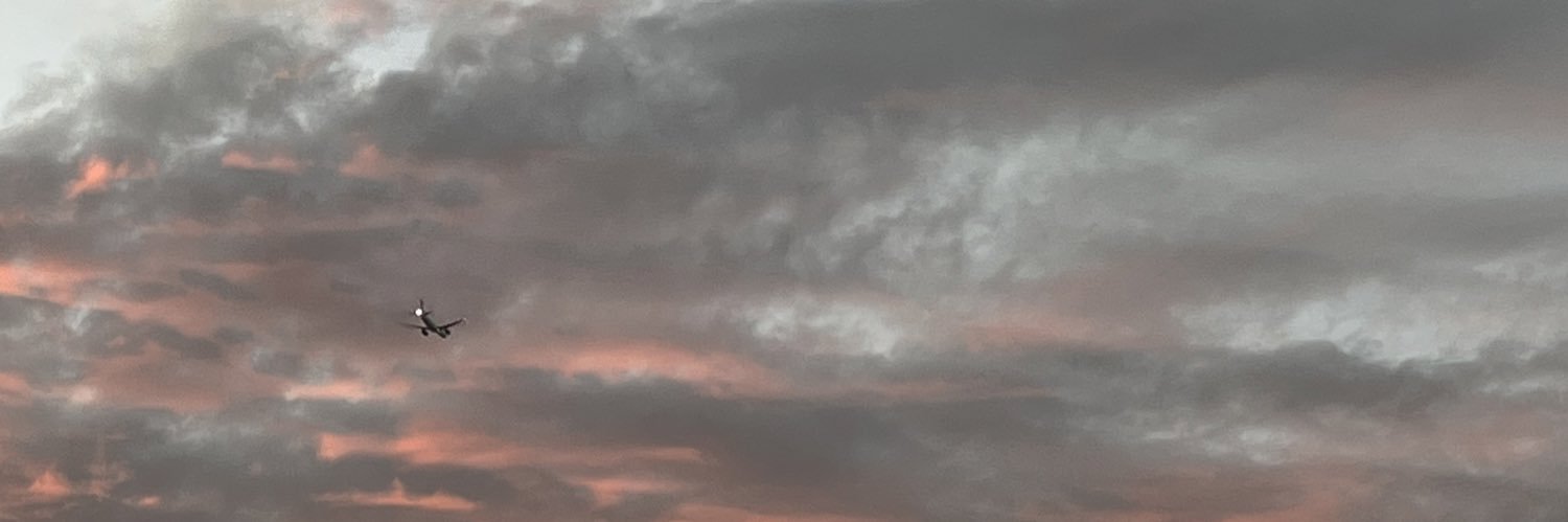 Miche_SL's profile banner image