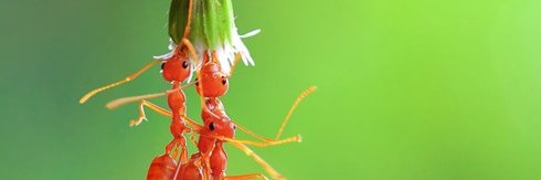 siafucomms's profile banner image