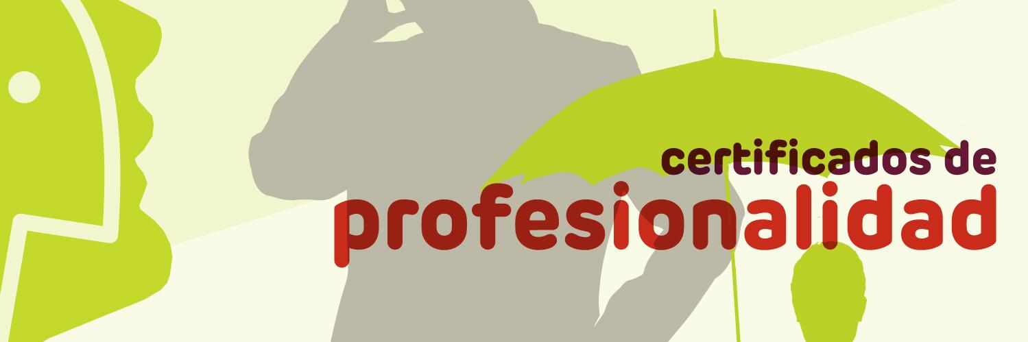 VIAFORMACION's profile banner image