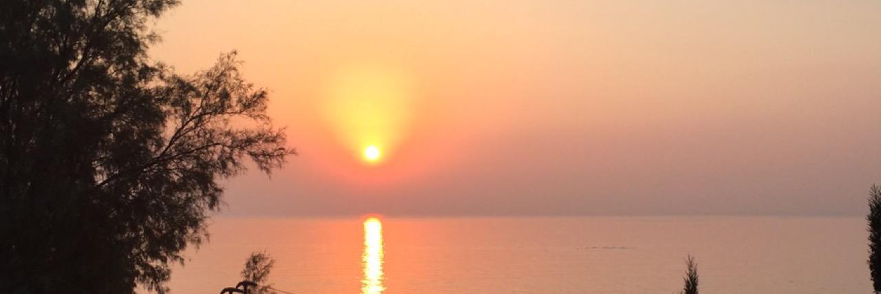 eleni chrysostomides banner