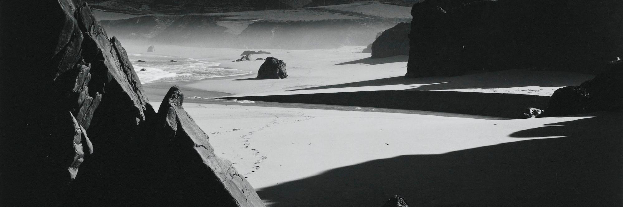 leauverte's profile banner image