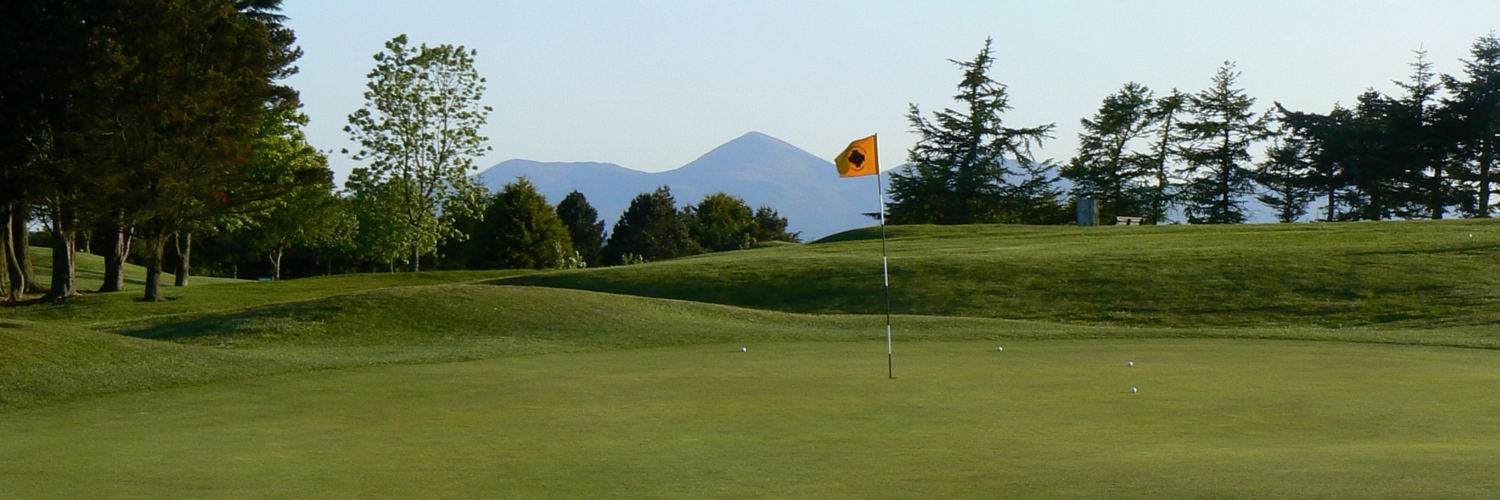 St. Patrick's Golf banner
