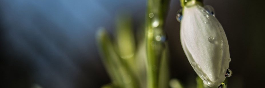 Quint_Europe's profile banner image