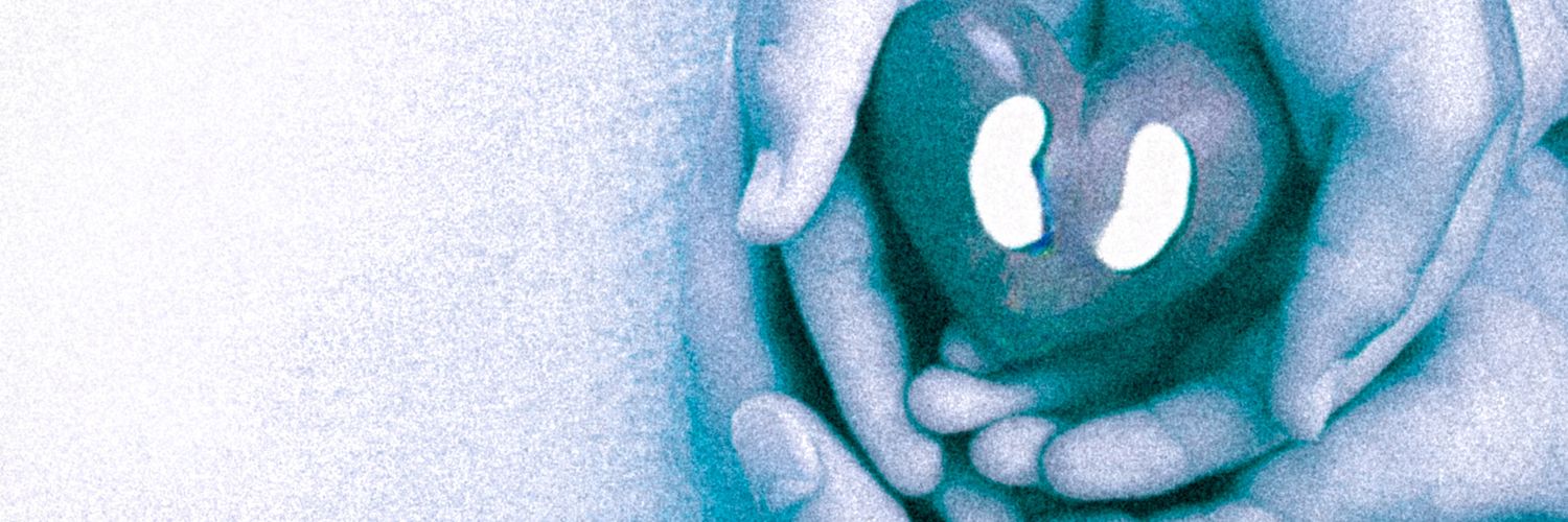 alantoides1's profile banner image