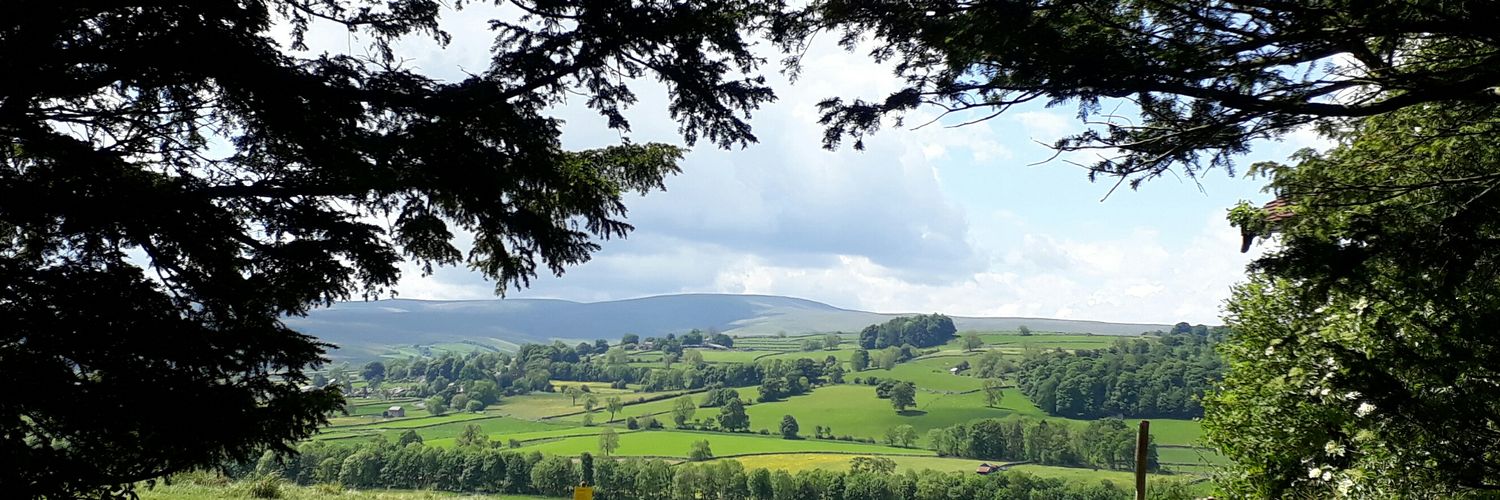MartiEDodds's profile banner image