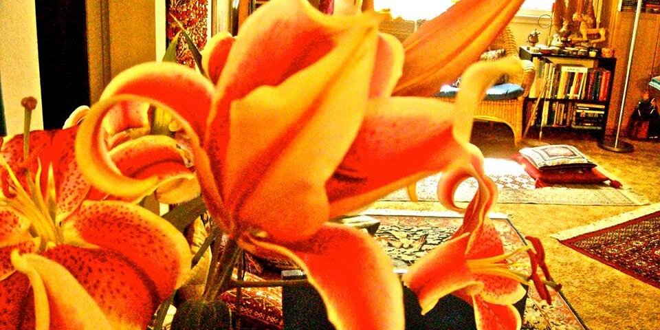 payalgupta151's profile banner image