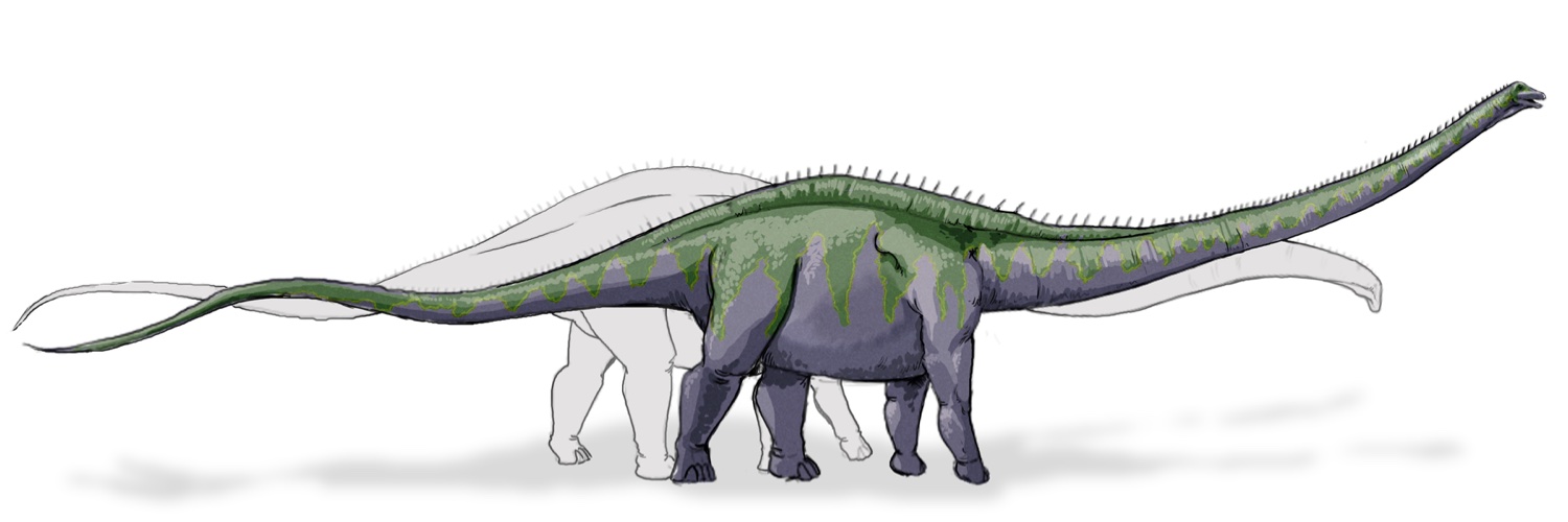Sauropod's profile banner image