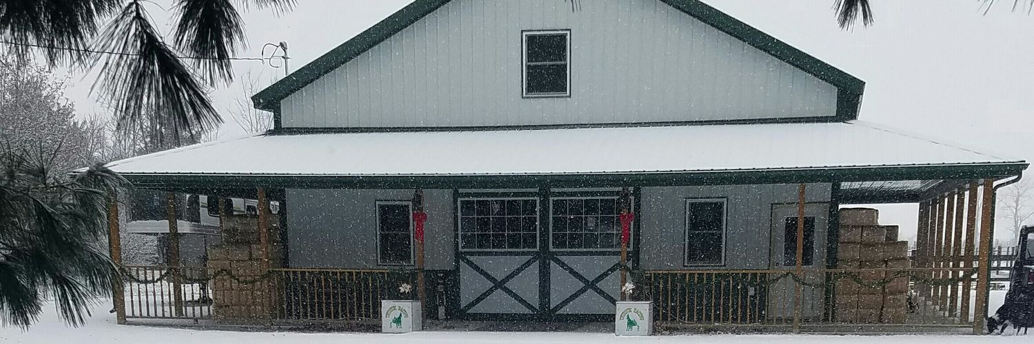 WrennSandy's profile banner image