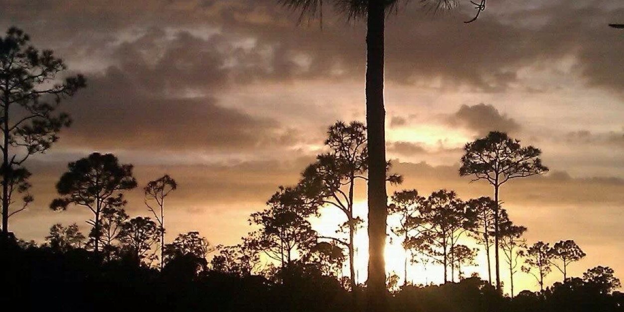 dbradley288's profile banner image