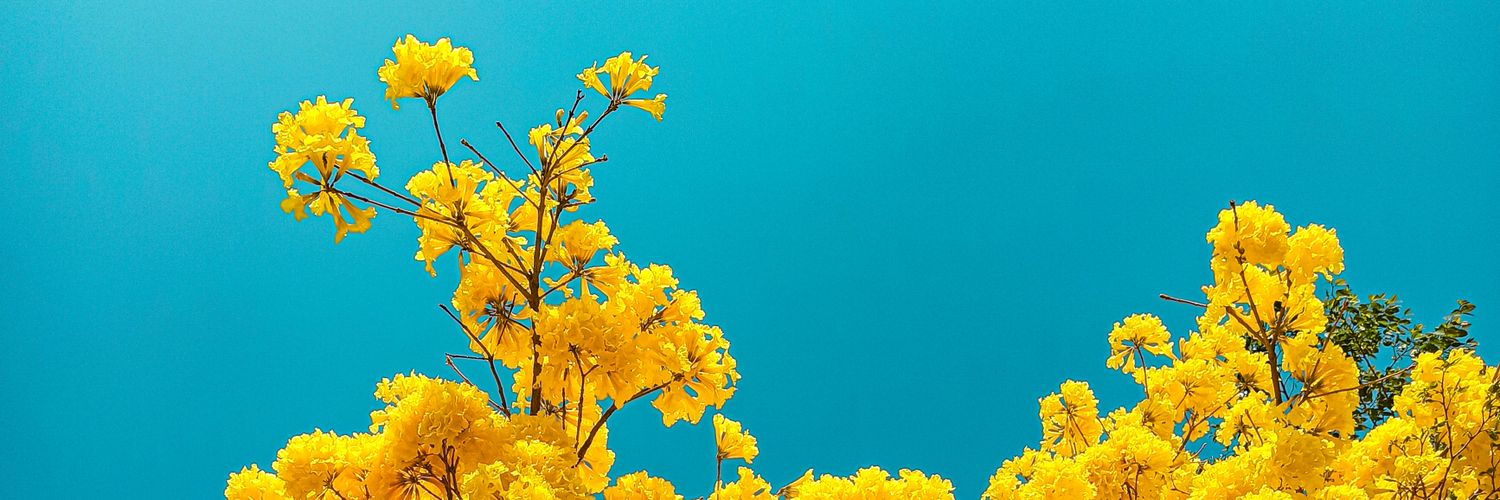 heclelnaj's profile banner image