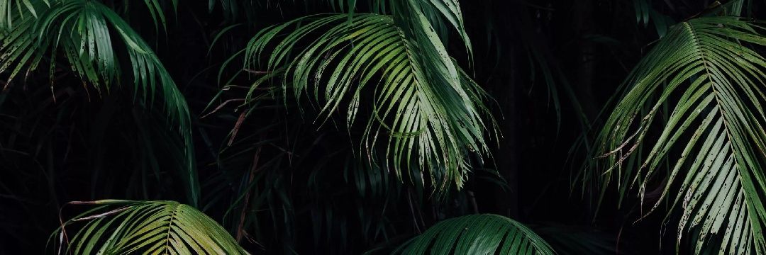 Meihardi89's profile banner image